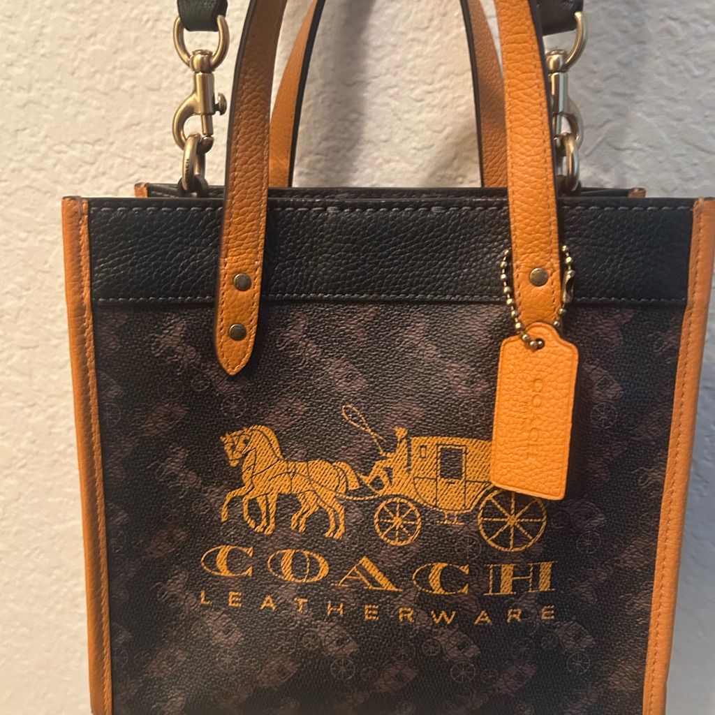 Coach Brown And Orange Leather Bag